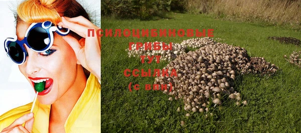 гидропоника Белоозёрский
