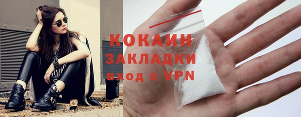 гидра Белокуриха